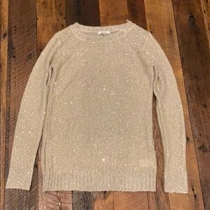 BB Dakota sequin sweater